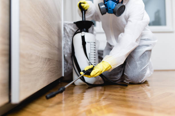 Best Best Pest Control Companies  in French Valley, CA