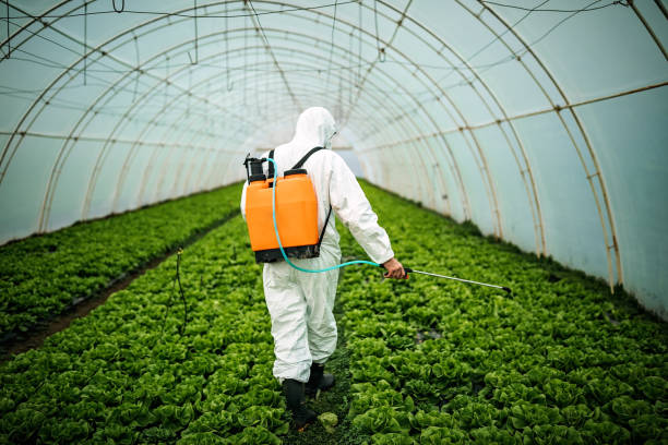Best Commercial Pest Control Services  in French Valley, CA
