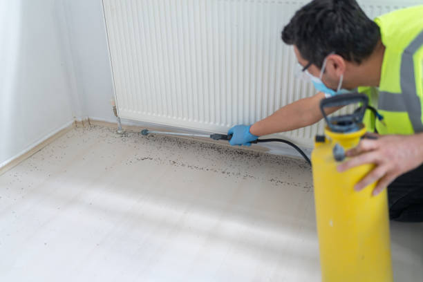 Best Mosquito Control Services  in French Valley, CA