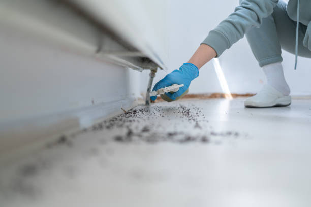 Best Best Pest Control Companies  in French Valley, CA