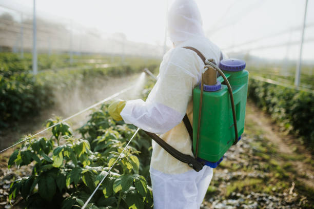 Pest Control for Restaurants in French Valley, CA